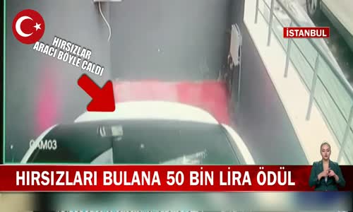 İstanbul Avcılar'da Hırsızları Bulana 50 Bin Lira Ödül Var! İşte Detaylar