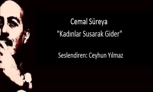  Cemal Süreya  Kadınlar Susarak Gider