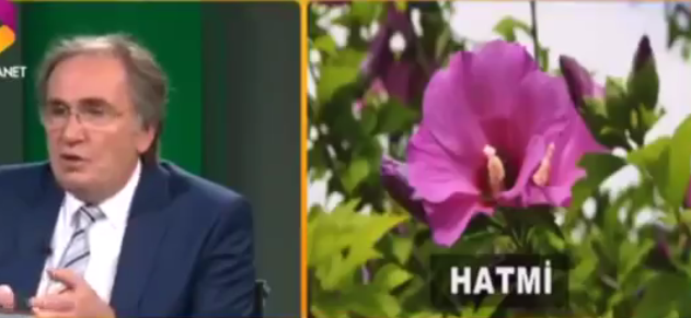 Grip Ve Öksürük için Kür Tarifi-Prof Dr İbrahim Adnan Saraçoğlu