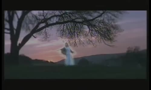 Ömer Danış  Gökyüzünde Kuş Olsam