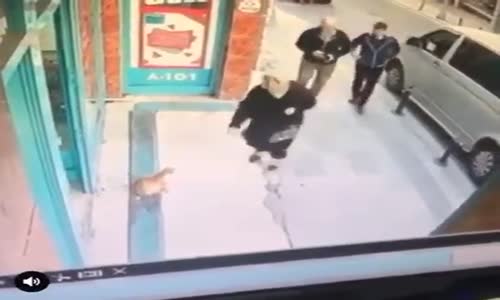 Önüne Gelene Saldıran Yavru Kedi