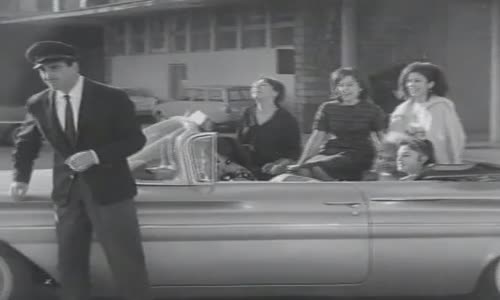 Özel Şoför  Ayhan Işık