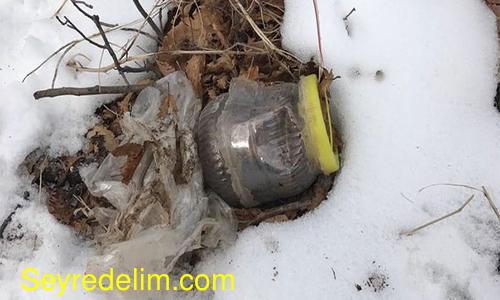 Bitlis’te 1 adet EYP imha edildi