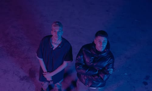 Sterlin - Jackal - Genetik