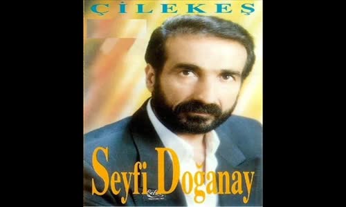 Seyfi̇ Doğanay - Gardaş