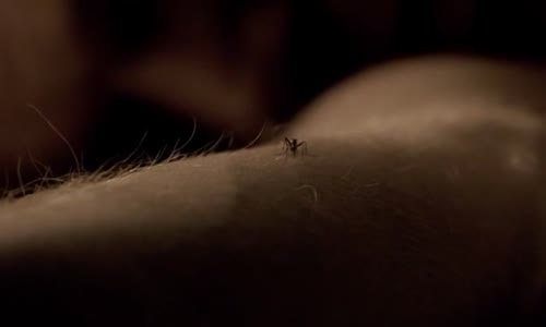 Dexter