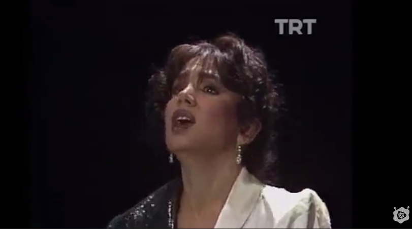 Sezen Aksu-Ayrılıklar Bitmez