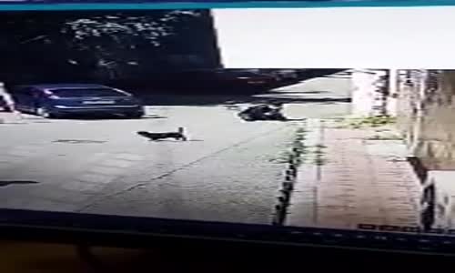 Köpekten Kaçarken Duran Arabaya Çarpan Adam 