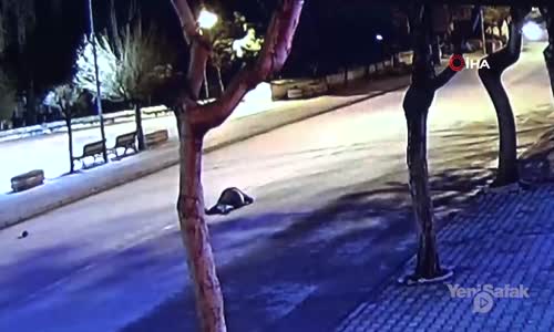 Otomobilin Çarptığı Yaşlı Adam Böyle Savruldu