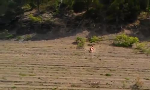  Havai Fişekle Arkadaşını Vurdu