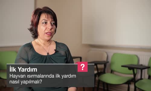 Hayvan Isırmalarında İlk Yardım Nasıl Yapılmalı
