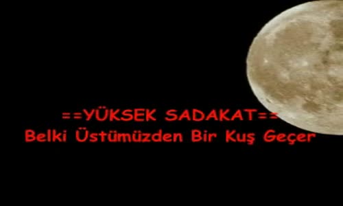 Yüksek Sadakat - Belki Üstümüzden Bir Kuş Geçer