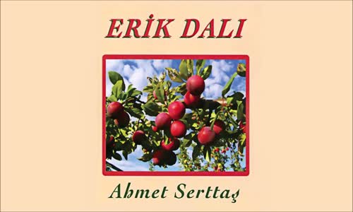 Ahmet Serttaş - Dam Ardına Dal Estim 