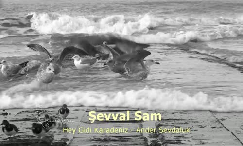 Şevval Sam - Hey Gidi Karadeniz 