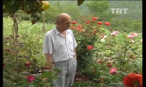 Zeki Müren-Ne Olur Anla Beni Koma Bu Canla Beni izle