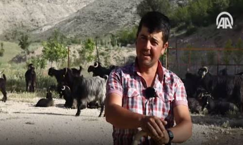 Karakeçili Yörükleri Yayla Yolunda