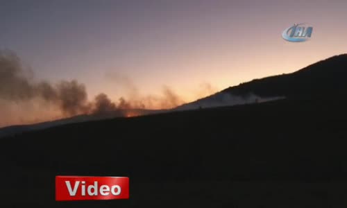 Kartal'da Orman Yangını