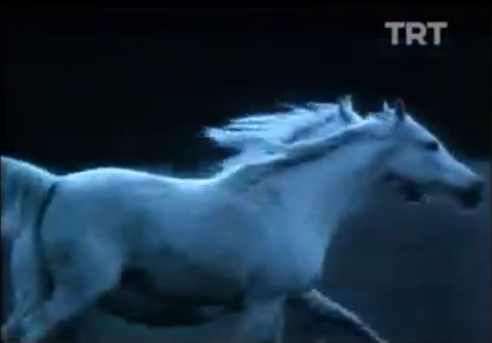 Zülfü Livaneli Ey Özgürlük 