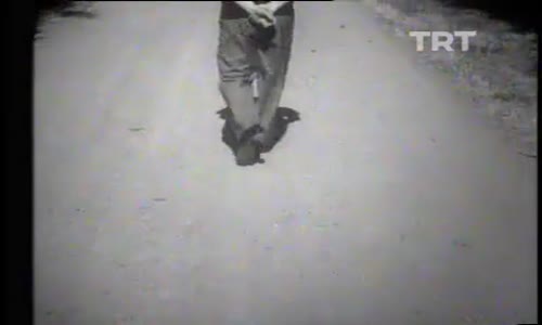 Ahmet Muhip Dıranas-Ayaklar izle