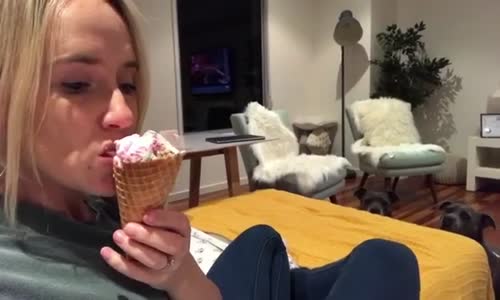 Köpeklerin Dondurma Yiyen Sahiplerini Gizli Gizli İzlemesi