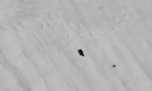 Kararlılıkla denemeden imkansız!