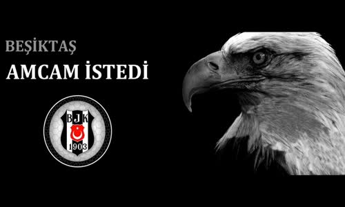 Amcam İstedi - Beşiktaş Marşı 