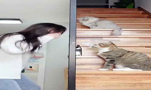 내가 요즘 제일 무서워하는 것ㄷㄷ The scariest thing in winter 