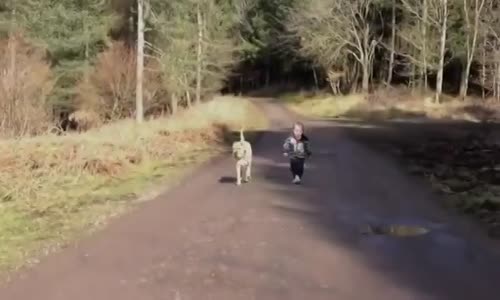 Sahibine Sadık Köpek