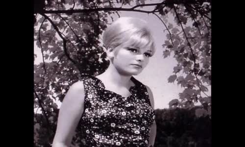 Ajda Pekkan - Olanlar Oldu Bana ( Emre Serin Remix )