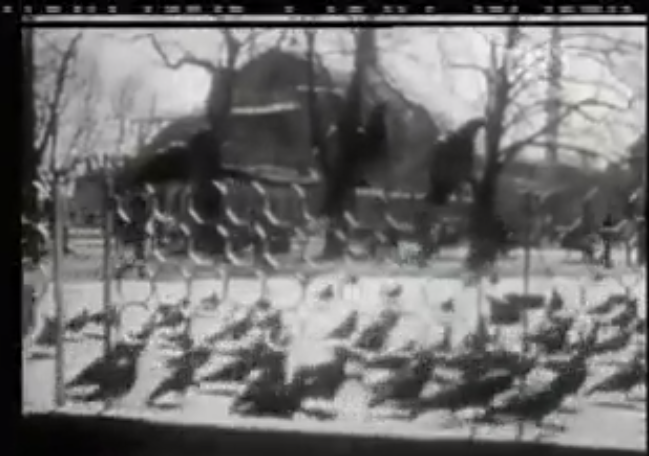 İşte Hayat 11.Bölüm 