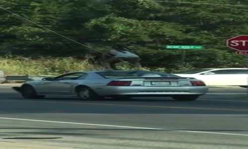 Seyir Halindeki Arabanın Üzerinde Twerk Yapan Kadın