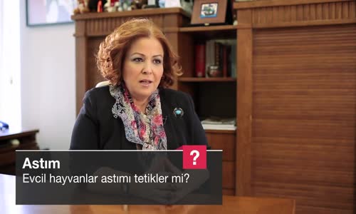 Evcil Hayvanlar Astımı Tetikler Mi