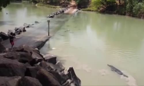 Amatör Balıkçının Avına Gözdiken Timsah