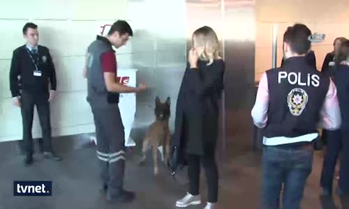 Türkiye'den Avusturya'ya Jet Misilleme