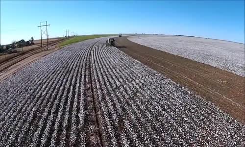 En son teknoloji pamuk hasat makinesi!!!