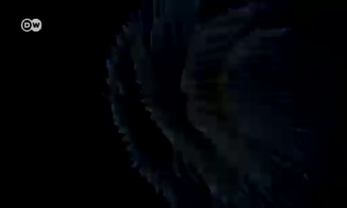 Sualtı Fotoğraf Festivalinin Çarpıcı Kareleri