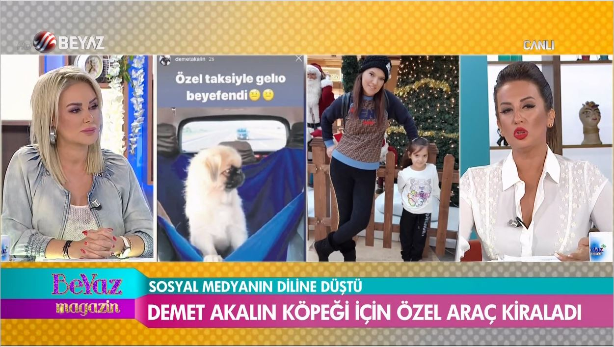 Demet Akalın Köpeği İçin Özel Araç Kiraladı