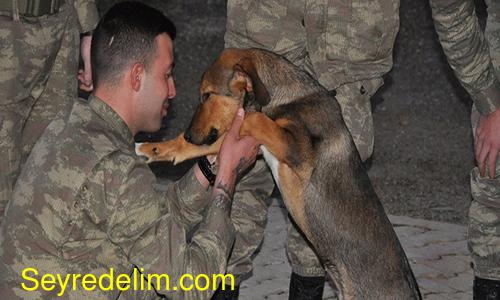 Cesur, asker abilerine kavuştu