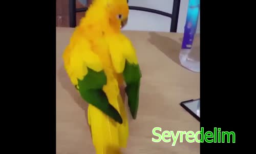 Haydi Güne Gülerek Başlayalım - 15