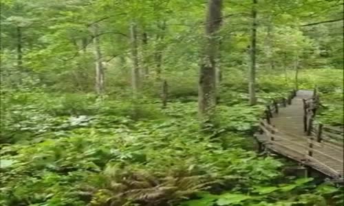 Artvin Borçka Karagöl