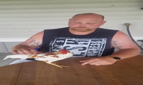 Horozu Hipnoz Eden Adam