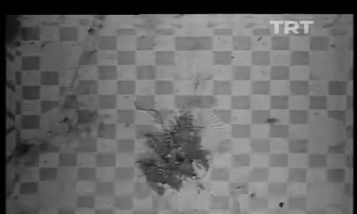 Dağarcık 18.Bölüm