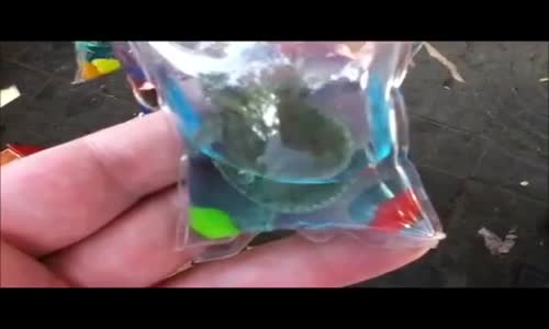 Canlı Hayvanlı Anahtarlık - Çin