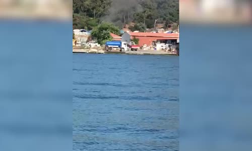 Sözde Çevreci Adalar Belediyesi Suçüstü Yakalandı