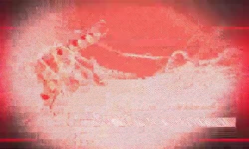İnsanlık Ailesinin Yaşamı Kimin Ellerinde