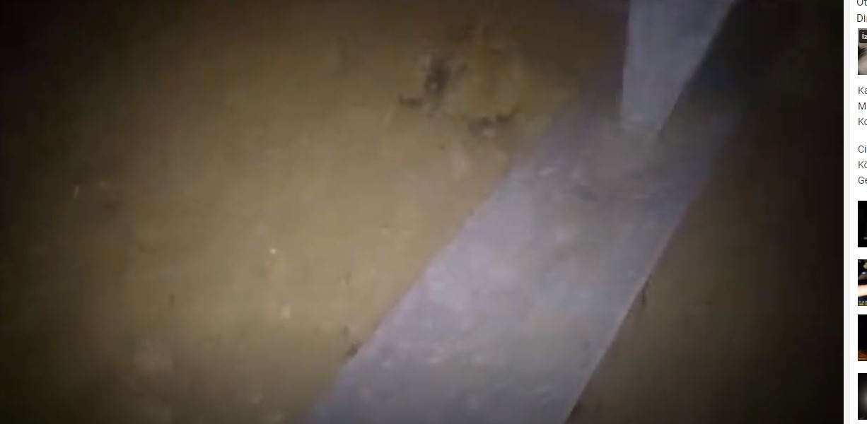 Karadul Mezarlığındaki Ölülerin Korku Dolu Hikayeleri ! 