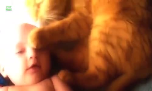 Bebekler Ve Evcil Hayvanlar