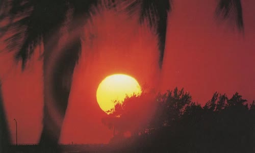 Yağızalp Şahin - Sen Aşkımızdan Evrencan Gündüz Cover