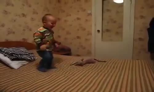 Bebek Ve Kedinin Yataktaki Oyunu