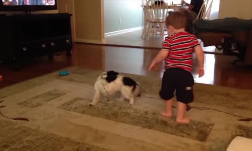 Komik Çocuk Videoları